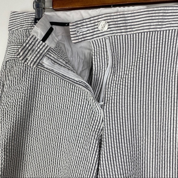 Isaac Mizrahi Metallic Striped Capri Pants Women's 12 Gray White Silver - Picture 5 of 8